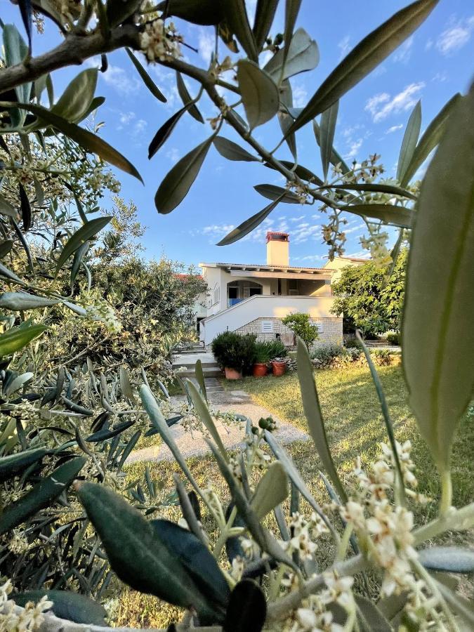 Vacation Family House On The Beach Stara Novalja Exterior photo